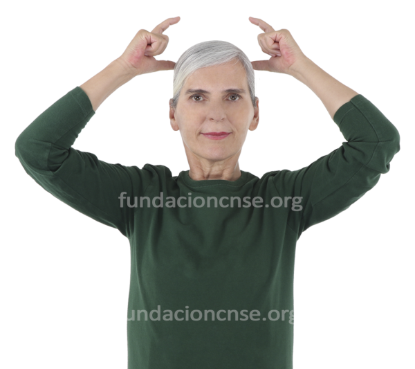 Nimbo en Lengua de Signos Española Signado de la palabra nimbo en Lengua de Signos Española