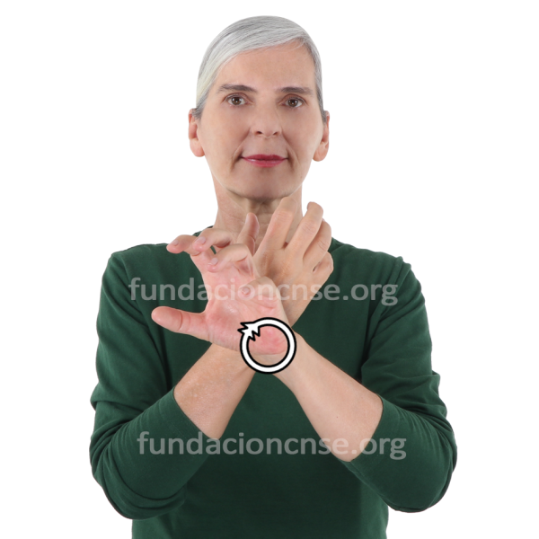 Nombre del artista Emil Nolde en Lengua de Signos Española Signado del nombre Emil Nolde en Lengua de Signos Española