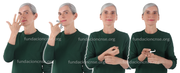 Pantone en Lengua de Signos Española Signado de la palabra pantone en Lengua de Signos Española