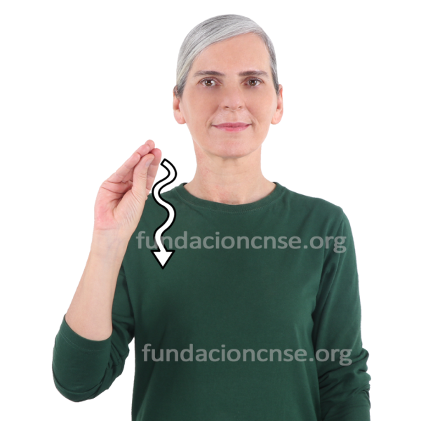 Pastel en Lengua de Signos Española Signado de la palabra pastel en Lengua de Signos Española