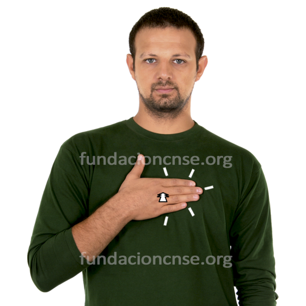 Patrimonio en Lengua de Signos Española Signado de la palabra patrimonio en Lengua de Signos Española