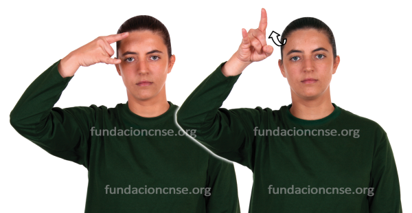 Nombre del artista Pablo Picasso en Lengua de Signos Española Signado del nombre Pablo Picasso en Lengua de Signos Española