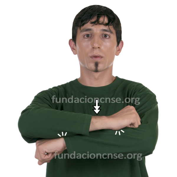 Nombre del artista Pieter Hendricksz de Hooch en Lengua de Signos Española Signado del nombre Pieter Hendricksz de Hooch en Lengua de Signos Española