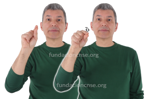 Pincel en Lengua de Signos Española Signado de la palabra pincel en Lengua de Signos Española