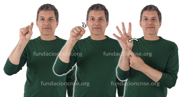 Pincel de abanico en Lengua de Signos Española Signado de la palabra pincel de abanico en Lengua de Signos Española