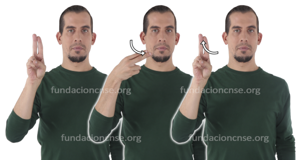 Pincelada en Lengua de Signos Española Signado de la palabra pincelada en Lengua de Signos Española