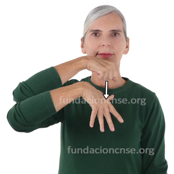 Nombre del artista Camille Pissarro en Lengua de Signos Española Signado del nombre Camille Pissarro en Lengua de Signos Española