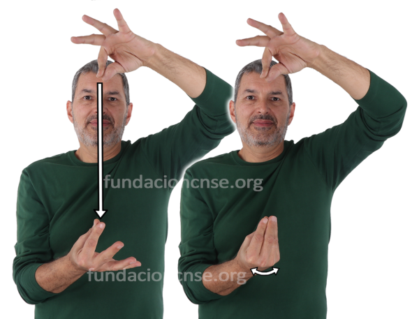 Plomada en Lengua de Signos Española Signado de la palabra plomada en Lengua de Signos Española