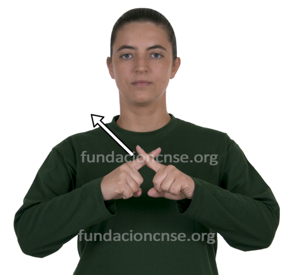 Proporción en Lengua de Signos Española Signado de la palabra proporción en Lengua de Signos Española