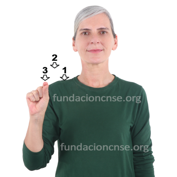 Puntillismo en Lengua de Signos Española Signado de la palabra puntillismo en Lengua de Signos Española