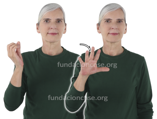 Nombre del artista Robert Rauschenberg en Lengua de Signos Española Signado del nombre Robert Rauschenberg en Lengua de Signos Española