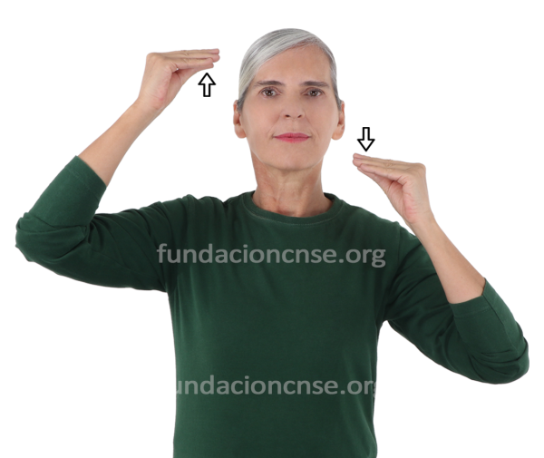 Nombre del artista Rembrandt Harmensz. van Rijn en Lengua de Signos Española Signado del nombre Rembrandt Harmensz. van Rijn en Lengua de Signos Española