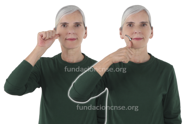 Nombre del artista Pierre-Auguste Renoir en Lengua de Signos Española Signado del nombre Pierre-Auguste Renoir en Lengua de Signos Española