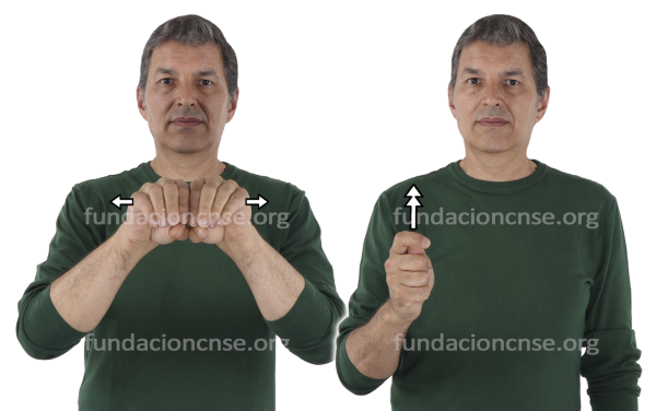 Rodillo en Lengua de Signos Española Signado de la palabra rodillo en Lengua de Signos Española