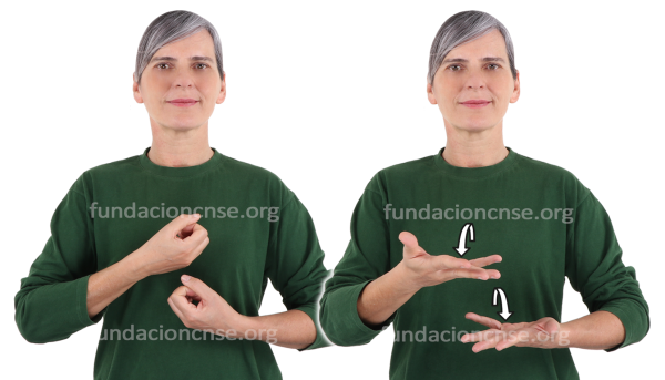 Romanticismo en Lengua de Signos Española Signado de la palabra Romanticismo en Lengua de Signos Española