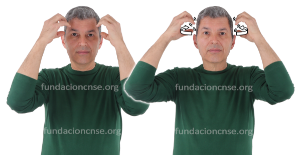 Nombre del artista Peter Paul Rubens en Lengua de Signos Española Signado del nombre Peter Paul Rubens en Lengua de Signos Española