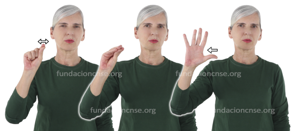 Sfumato en Lengua de Signos Española Signado de la palabra sfumato en Lengua de Signos Española