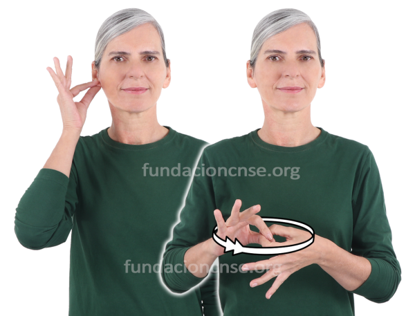 Sororidad en Lengua de Signos Española Signado de la palabra sororidad en Lengua de Signos Española