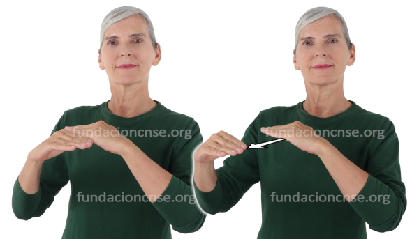 Sostenibilidad en Lengua de Signos Española Signado de la palabra sostenibilidad en Lengua de Signos Española