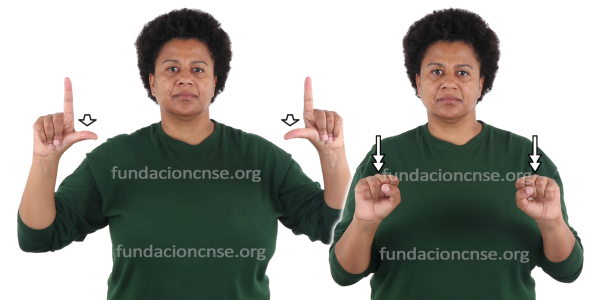 Tapiz en Lengua de Signos Española Signado de la palabra tapiz en Lengua de Signos Española