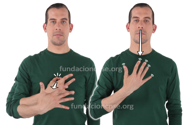 Nombre del artista Tiziano (Tiziano Vecellio) en Lengua de Signos Española Signado del nombre Tiziano (Tiziano Vecellio) en Lengua de Signos Española