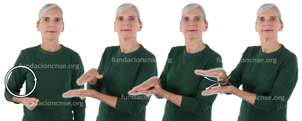 Tórculo en Lengua de Signos Española Signado de la palabra tórculo en Lengua de Signos Española