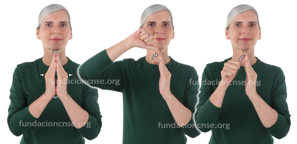 Vaciado en Lengua de Signos Española Signado de la palabra vaciado en Lengua de Signos Española