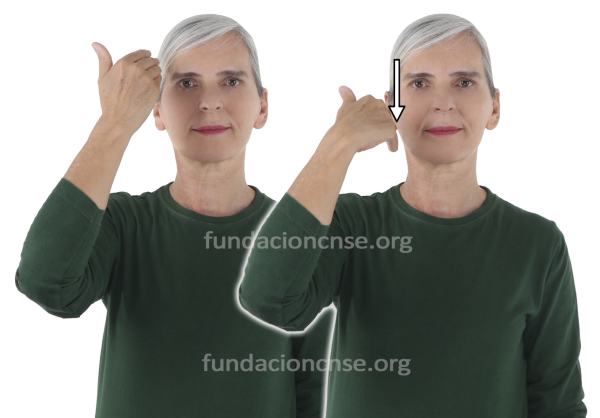 Nombre del artista Vincent van Gogh en Lengua de Signos Española Signado del nombre Vincent van Gogh en Lengua de Signos Española