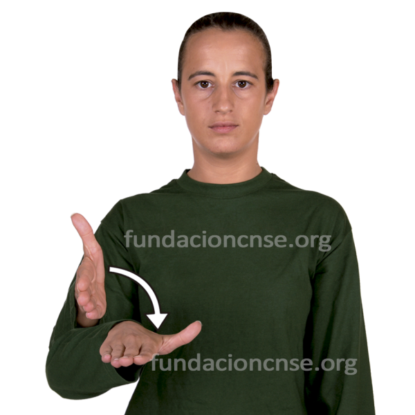 Vanitas en Lengua de Signos Española Signado de la palabra vanitas en Lengua de Signos Española