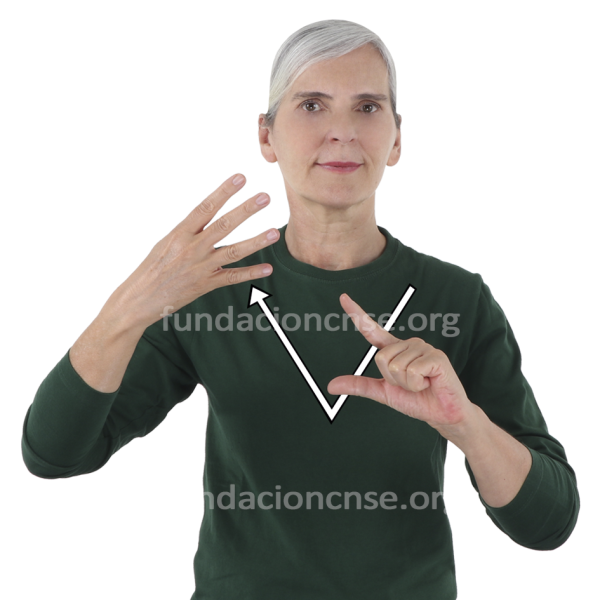 Vorticismo en Lengua de Signos Española Signado de la palabra Vorticismo en Lengua de Signos Española