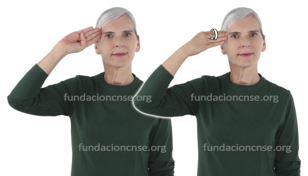 Nombre del artista Edouard Vuillard en Lengua de Signos Española Signado del nombre Edouard Vuillard en Lengua de Signos Española