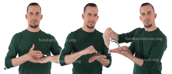 Xilografía en Lengua de Signos Española Signado de la palabra xilografía en Lengua de Signos Española