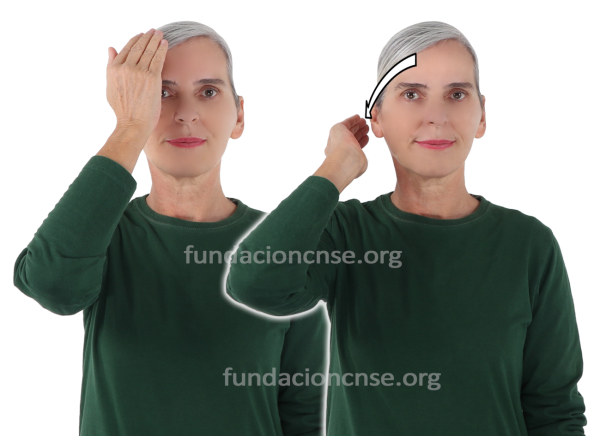 Barón Thyssen en Lengua de Signos Española Signado de Barón Thyssen en Lengua de Signos Española