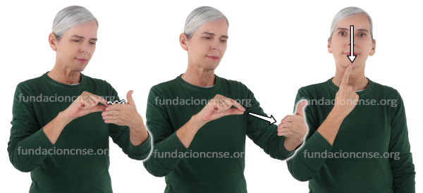 Caligrama en Lengua de Signos Española Signado de caligrama en Lengua de Signos Española