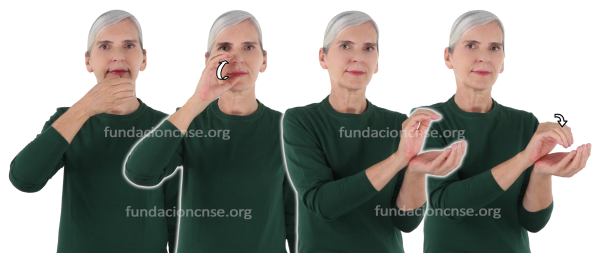 Copa Nautilus en Lengua de Signos Española Signado de la palabra copa Nautilus en Lengua de Signos Española