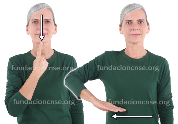 Efigie en Lengua de Signos Española Signado de la palabra efigie en Lengua de Signos Española