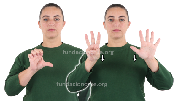 Enrique VIII en Lengua de Signos Española Signado de la palabra Enrique VIII en Lengua de Signos Española