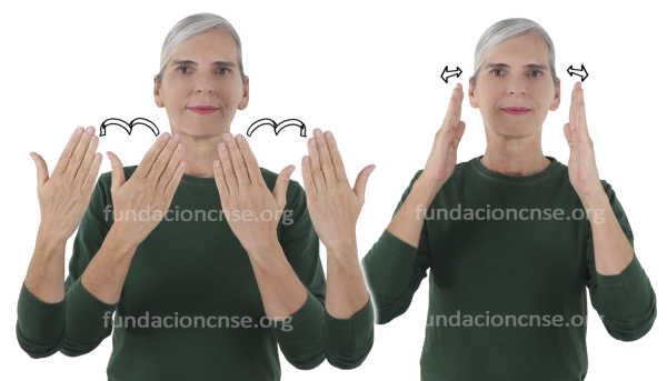 Exposición temporal en Lengua de Signos Española Signado de exposición temporal en Lengua de Signos Española