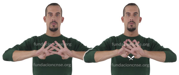 Filtro en Lengua de Signos Española Signado de la palabra filtro en Lengua de Signos Española