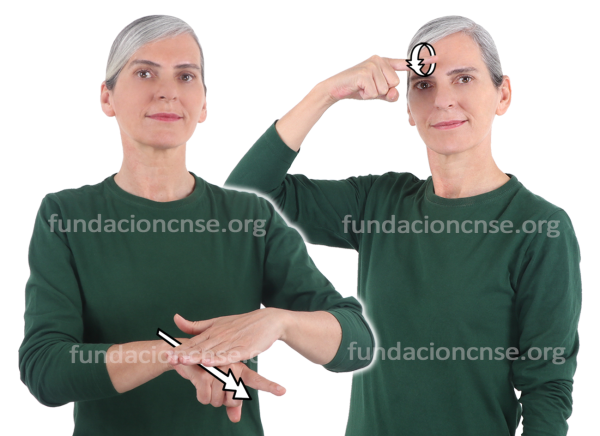 Gestión cultural en Lengua de Signos Española Signado de gestión cultural en Lengua de Signos Española