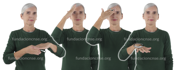 Hall en Lengua de Signos Española Signado de la palabra hall en Lengua de Signos Española