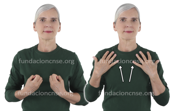  Signado de la palabra inspiración en Lengua de Signos Española