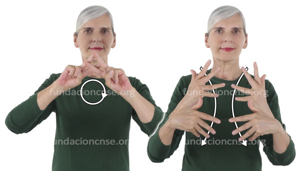 Inventario en Lengua de Signos Española Signado de la palabra inventario en Lengua de Signos Española