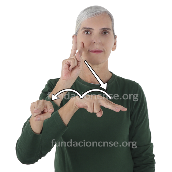  Signado de la palabra museo en Lengua de Signos Española