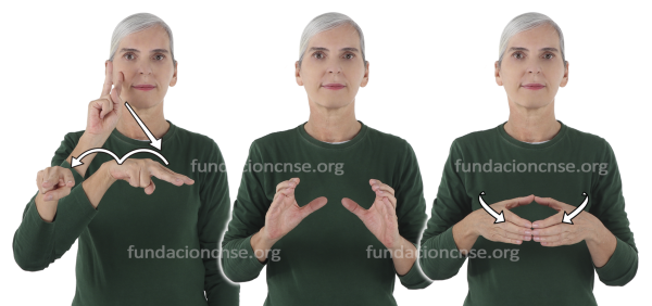 Museo comunitario en Lengua de Signos Española Signado de museo comunitario en Lengua de Signos Española