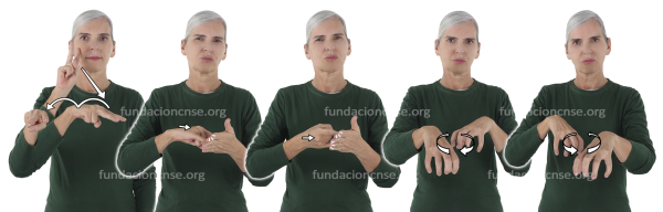 Museografía en Lengua de Signos Española Signado de la palabra museografía en Lengua de Signos Española