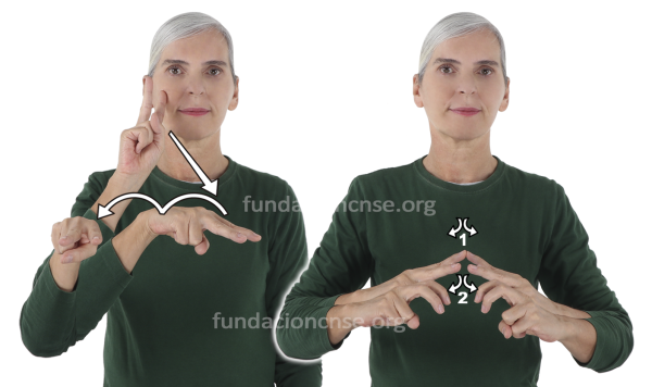 Museología en Lengua de Signos Española Signado de la palabra museología en Lengua de Signos Española