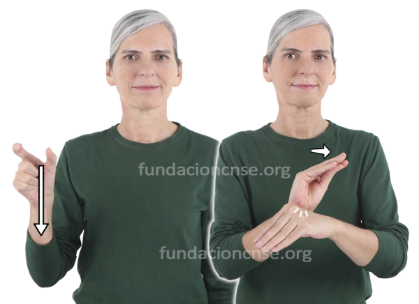 Patrocinador, patrocinadora en Lengua de Signos Española Signado de la palabra patrocinador, patrocinadora en Lengua de Signos Española