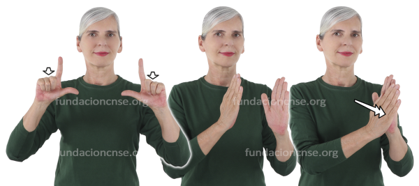 Peine en Lengua de Signos Española Signado de la palabra peine en Lengua de Signos Española