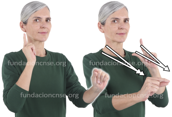  Signado de la palabra perspectiva en Lengua de Signos Española